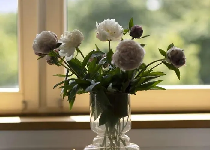 Appartamento Manhattan Olive With Parking By Elite