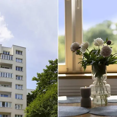 Manhattan Olive With Parking By Elite *