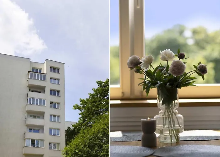 Manhattan Olive With Parking By Elite *